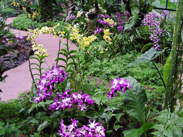 ナショナル・オーキッド・ガーデン（国立蘭園）｜歴史ある植物園