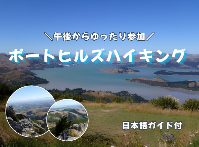 午後からのポートヒルズハイキング