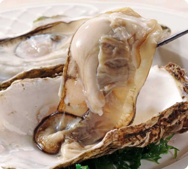 牡蠣が美味しい宿 の宿泊予約 Jtb