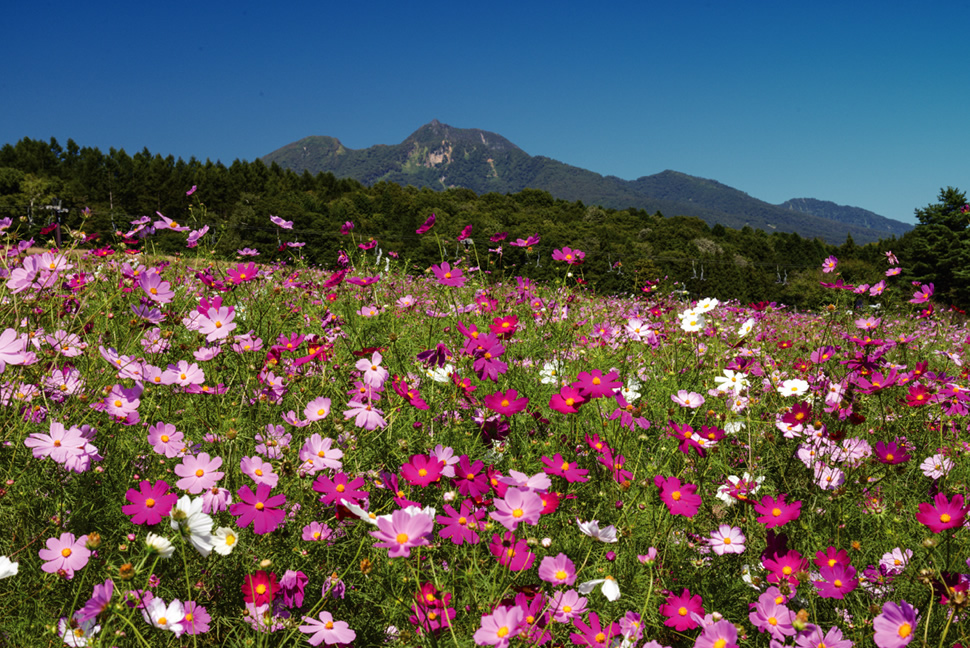 信州感動の瞬間100選 9月 はじめの山歩 さんぽ すぐそこにある感動 日本の旬 信州