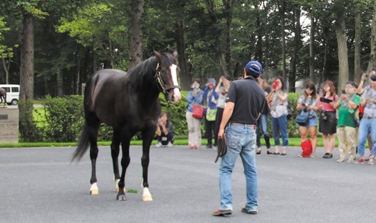 北海道牧場巡りツアー2025 ～「週刊Gallop」記者が同行～