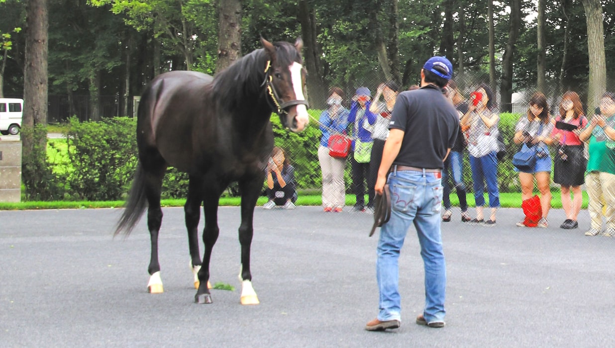 北海道牧場巡りツアー2025 ～「週刊Gallop」記者が同行～