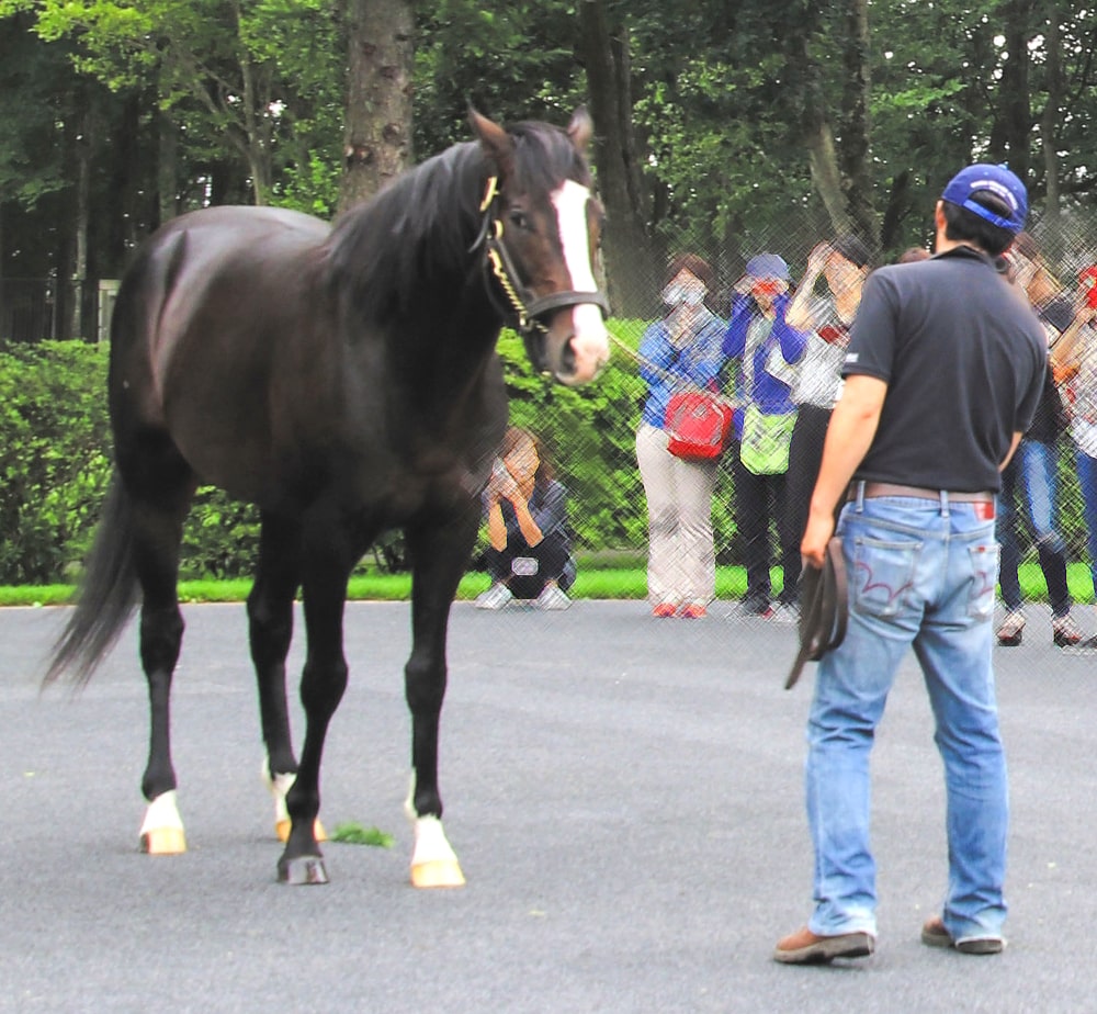 北海道牧場巡りツアー2025 ～「週刊Gallop」記者が同行～