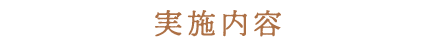 実施内容