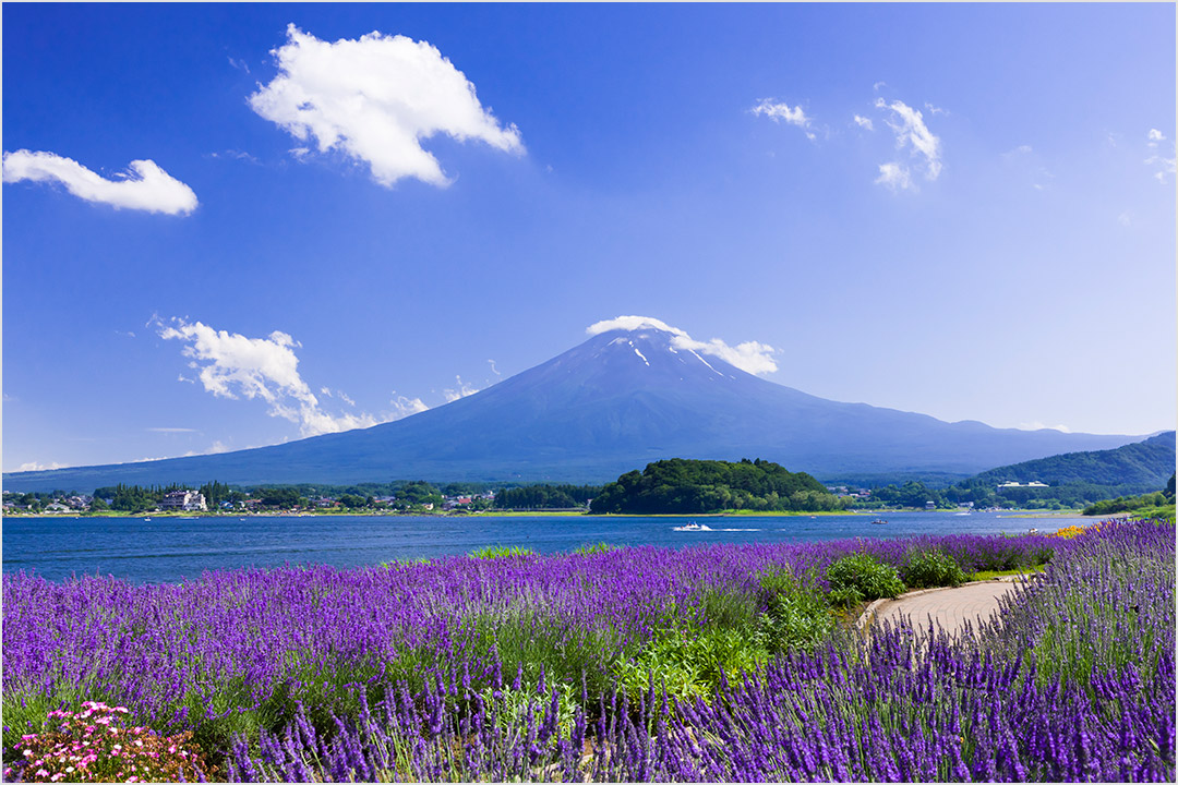 ラグジュアリーバスなら車窓からの景色も爽快/イメージ