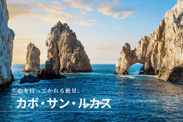 エル・アルコ