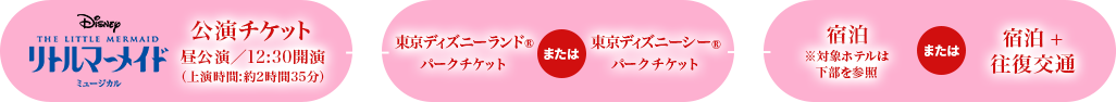 公演チケット 昼公演／12:30開演（上演時間：約2時間35分） 東京ディズニーランド® パークチケット または 東京ディズニーシー® パークチケット 宿泊 ※対象ホテルは下部を参照 または 宿泊 ＋ 往復交通