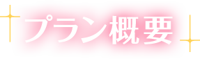 プラン概要