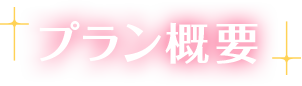 プラン概要