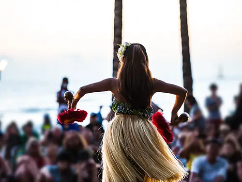 自然体験ツアーに参加する イメージ