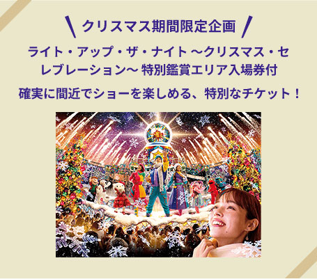 クリスマス期間限定企画 ライト・アップ・ザ・ナイト ～クリスマス・セレブレーション～ 特別鑑賞エリア入場券付