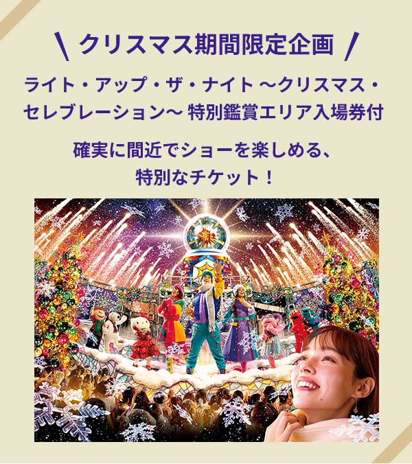 クリスマス期間限定企画 ライト・アップ・ザ・ナイト ～クリスマス・セレブレーション～ 特別鑑賞エリア入場券付
