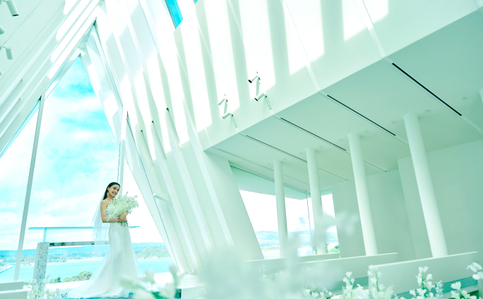 �ÉF���� ��ƊC�̋��� �t�H�g�v����