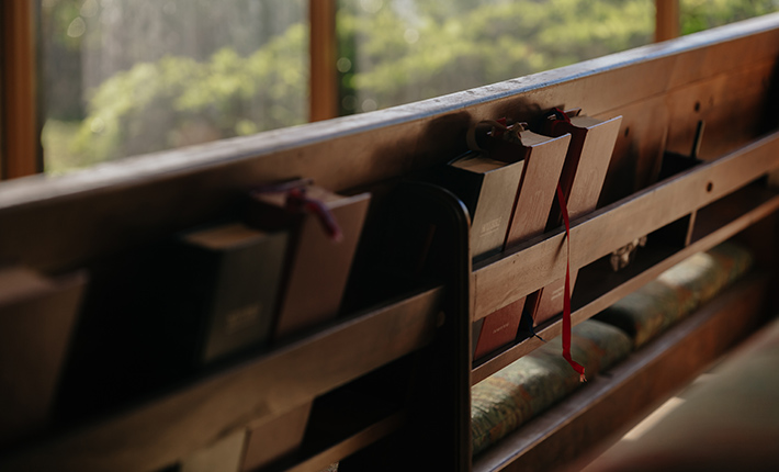 ���₩�Ȍ��ɕ�܂ꂽ���j���鋳��