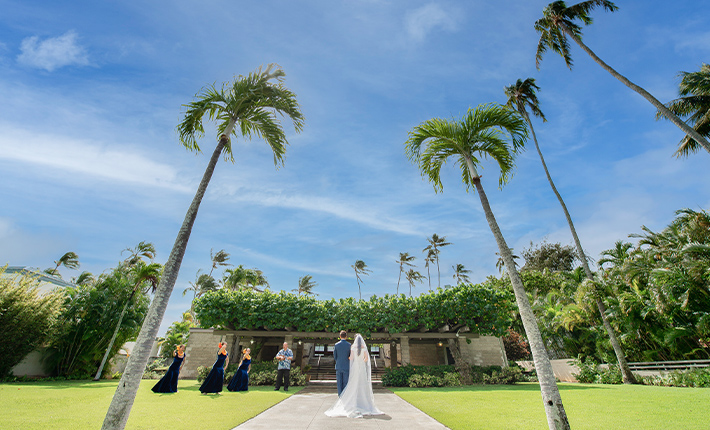 �C�~���V�̖؂̃v���C�x�[�g�K�[�f��