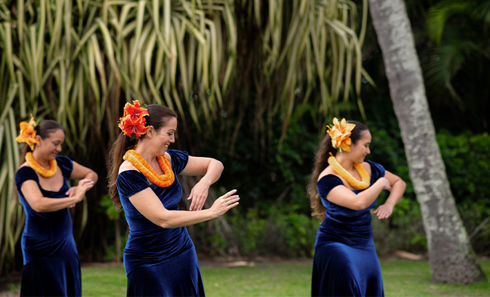 �l�C�I�v�V�����̃n���C�A���E�G�f�B���O