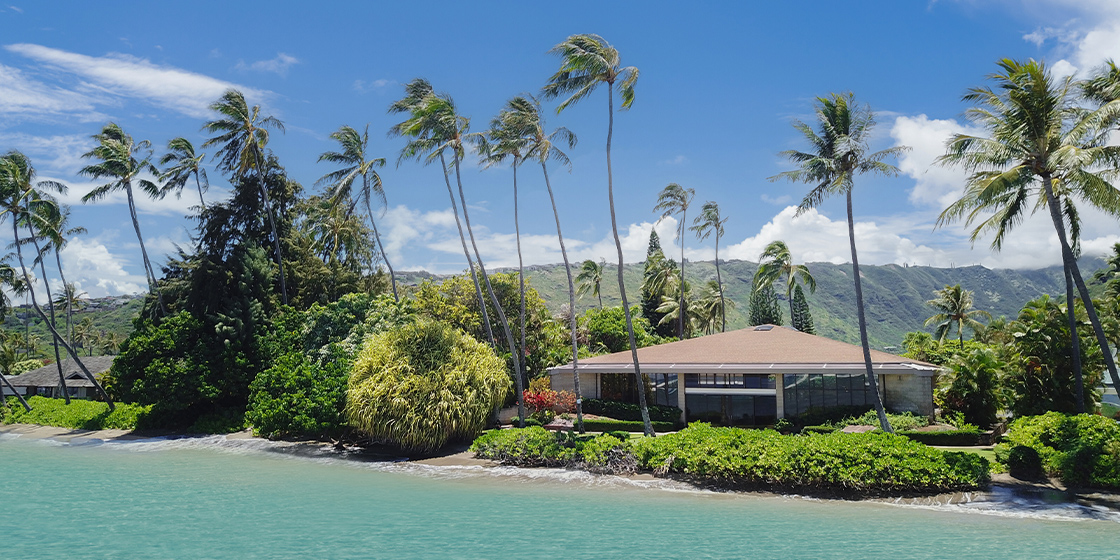 �L�����o���[�E�o�C�E�U�E�V�[����������C���[�W