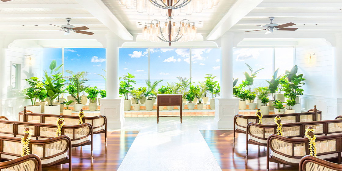 �J�n���C�E�`���y�����������C���[�W