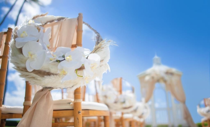 ㎿ȃR[fBl[g̓JnȂł