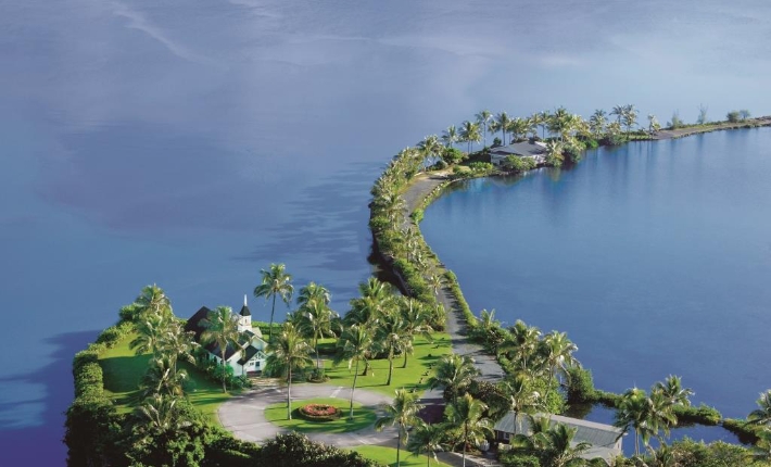 UEvCx[gEK[f AnEPEANA `yO