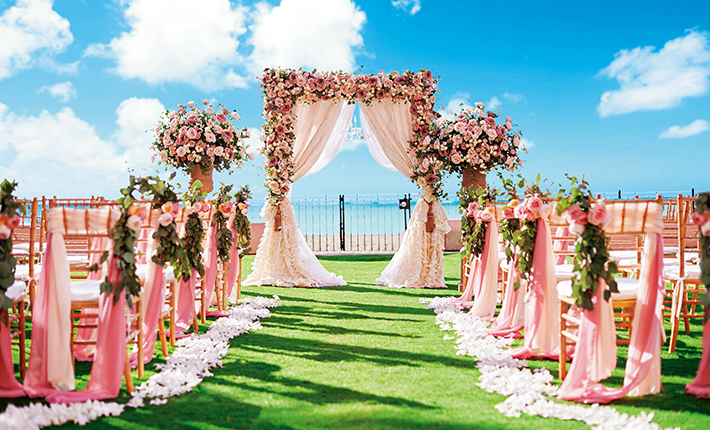 ��ƊC���L����u�I�[�V�������[���v