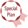 Special Plan