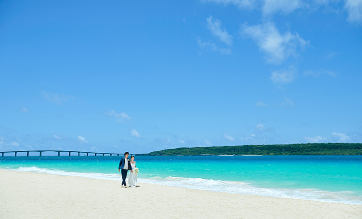 ���m��̔������Ə̂����^�ߔe�O�l�r�[�`�t�H�g