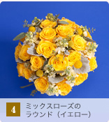 4 �~�b�N�X���[�Y�̃��E���h�i�C�G���[�j