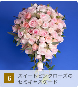 6 �X�C�[�g�s���N���[�Y�̃Z�~�L���X�P�[�h