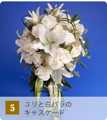 5 �����Ɣ��o���̃L���X�P�[�h