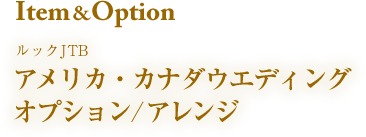 Item&Option ���b�NJTB �A�����J�E�J�i�_�E�G�f�B���O�I�v�V����/�A�����W�@�A�����J�E�J�i�_���ʂ̃I�v�V����