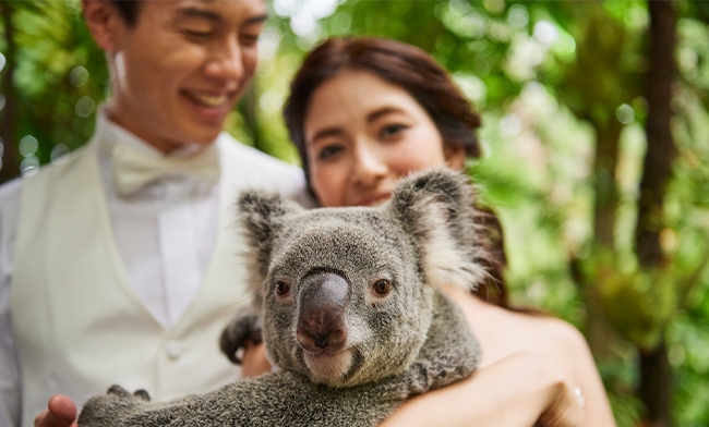 �E�G�f�B���O�t�H�g�̃C���[�W