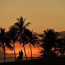 �n�l���[���t�H�g�v�����M�������[�C���[�W17�@