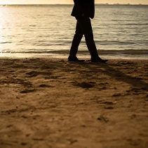 �n�l���[���t�H�g�v�����M�������[�C���[�W19�@