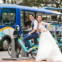 �n�l���[���t�H�g�v�����M�������[�C���[�W20�@