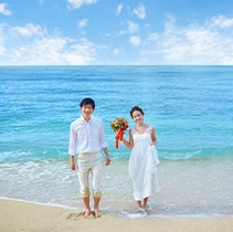 �n�l���[���t�H�g�v�����M�������[�C���[�W22�@