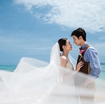 �Ί_�����O�W���A���[�t�H�g�v�����M�������[�C���[�W06�@