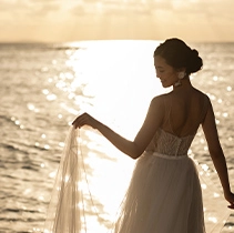 �Ί_�����O�W���A���[�t�H�g�v�����M�������[�C���[�W07�@