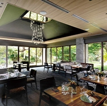 �Ί_�����O�W���A���[�t�H�g�v�����M�������[�C���[�W08�@