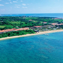 �Ί_�����O�W���A���[�t�H�g�v�����M�������[�C���[�W10�@